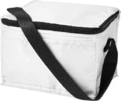 Koeltas - Mini Koeltas - Geschikt Voor 6 Blikjes - Compact Koeltas + 2 Koelelementen - Rheme -Camping Korting 1200x1001