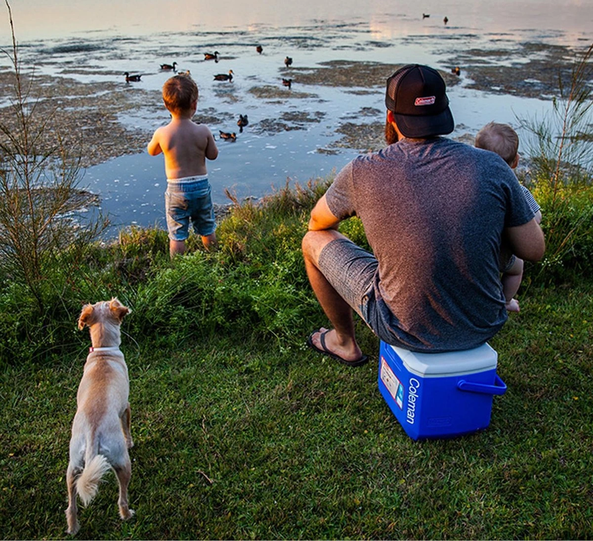 Coleman 16QT Performance Tricolor Koelbox - 15L - Blauw/Grijs 3 Coleman 16QT Performance Tricolor Koelbox - 15L - Blauw/Grijs - Afbeelding 3
