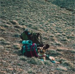 LOWLAND OUTDOOR® Donzen Slaapzak - Super Compact Blanket - 210 X 80 Cm - 590gr +8°C -Camping Korting 1200x1196 10