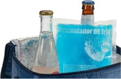 Arte R Koelelementen/icepacks - Herbruikbaar - 15 X 13 X 2 Cm -Camping Korting 1200x789 7