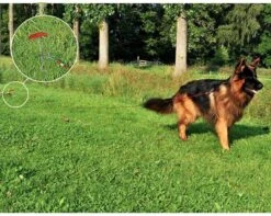 PROPLUS Pro Plus Aanlegspiraal - Hondenpen Met Handvat En Ring - Lengte 39 Cm -Camping Korting 1200x959 1