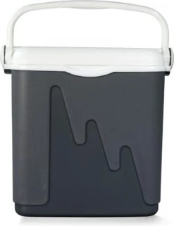 Curver Koelbox - 20L - Grijs - Isolatiekoelbox -Camping Korting 924x1200